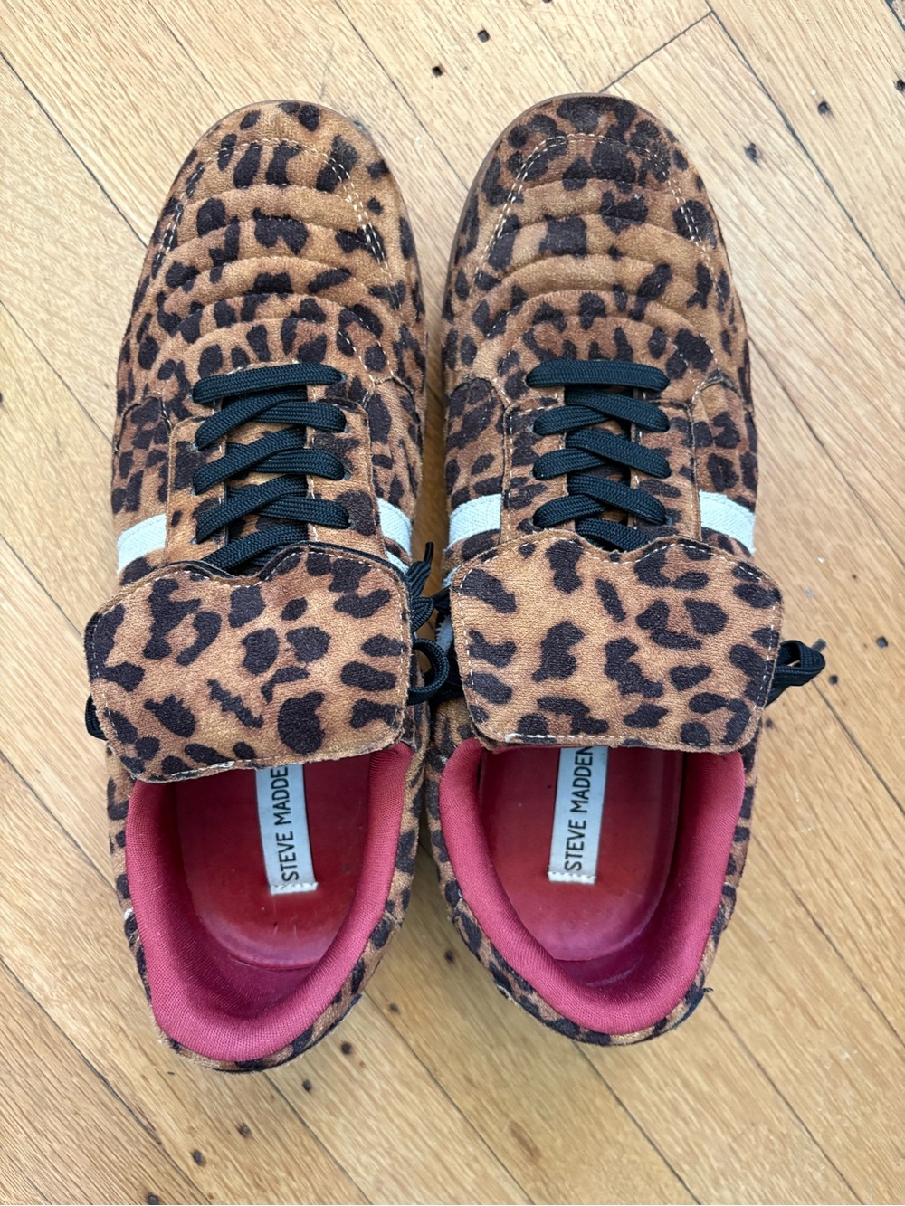 Steve Madden Leopard-Print Sneakers Sz 11